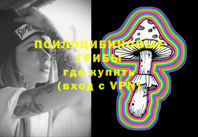 Псилоцибиновые грибы Cubensis  Бугуруслан 